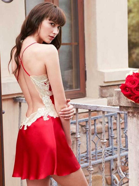 Sexy Backless Silk Chemise Lace Slips for Women
