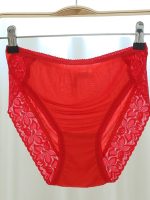 Womens Ladies 100% Silk Knitted Lace Pantie Briefs Solid Color